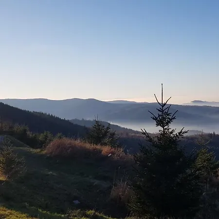 Wellness-hotel Talblick فندق