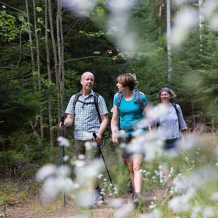 Wellness-hotel Talblick Hotell