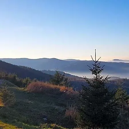 Wellness-hotel Talblick Hotel Schömberg