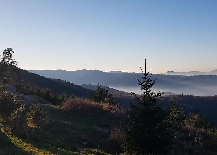 Wellness-hotel Talblick Отель