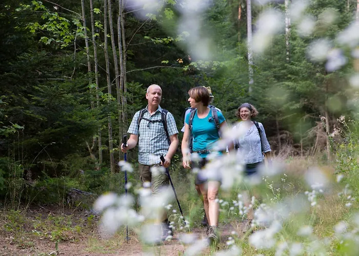 Wellness-hotel Talblick Отель