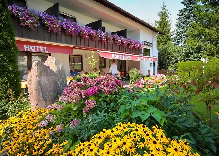 Wellness-hotel Talblick Шёмберг